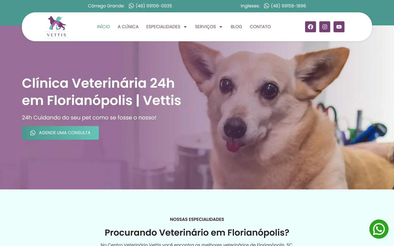 Página inicial do site Vettis Clínica Veterinária